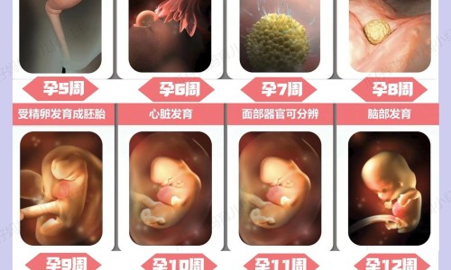 食物中毒大便化验结果网- 食物中毒大便化验结果图片知识,分享食物中毒后便血怎么回事