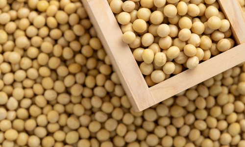 食物中毒大便化验结果网- 食物中毒大便化验结果图片知识,分享食物中毒后便血怎么回事